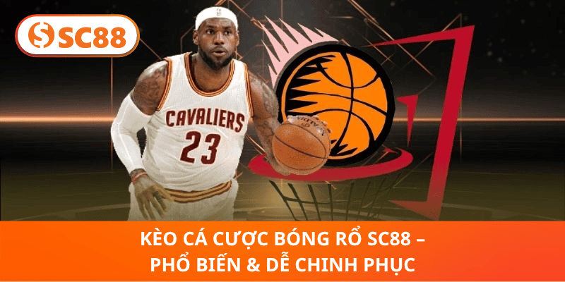 Kèo Cá Cược Bóng Rổ SC88 – Phổ Biến & Dễ Chinh Phục